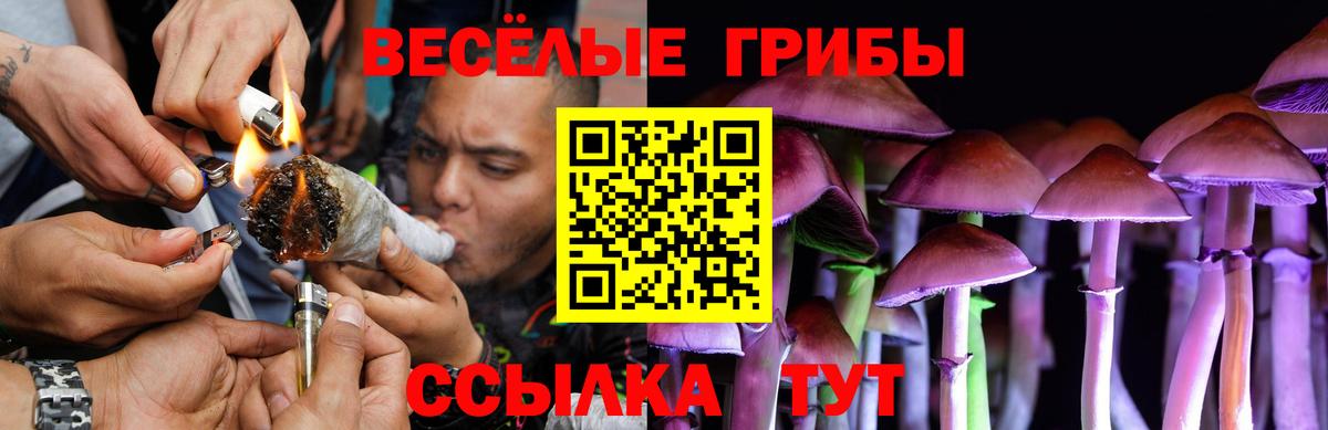 Псилоцибиновые грибы GOLDEN TEACHER Уварово